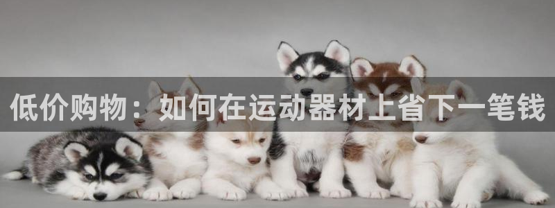 海南意昂体育4:低价购物:如何在运动器材上省下一笔钱