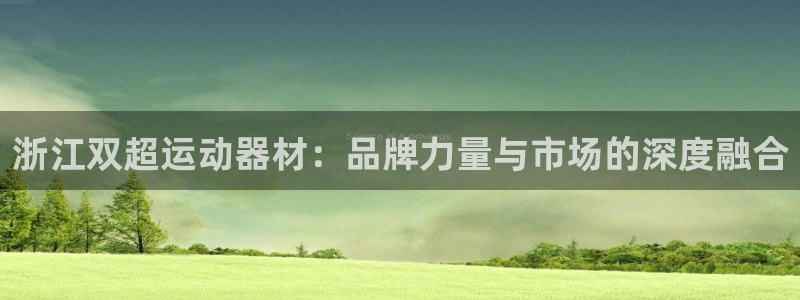 意昂体育4平台注册要钱吗安全吗:浙江双超运动器材:品牌力量与