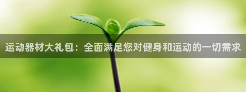 意昂4新能源:运动器材大礼包:全面满足您对健身和运动的一切需